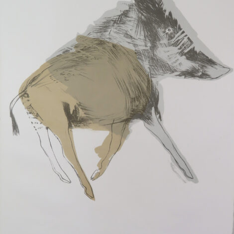 Wild Board, Elisabeth Frink, lithograph